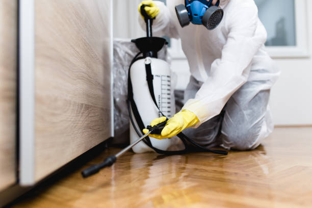 Best Pest Control Treatment  in Commerce, OK