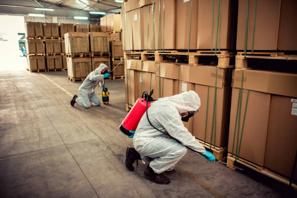 Best Cockroach Control Services  in Commerce, OK