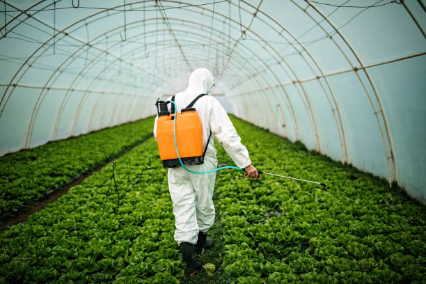 Best Pest Inspection Near Me  in Commerce, OK