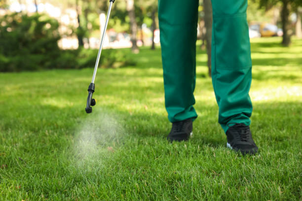 Insect Control in Commerce, OK