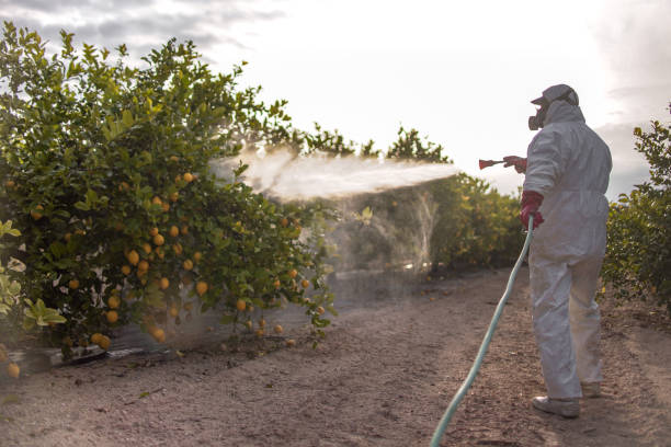 Best Commercial Pest Control Services  in Commerce, OK
