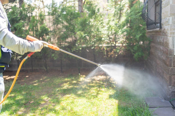 Best Spider Control Near Me  in Commerce, OK
