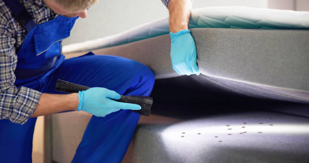 Best Pest Control Near Me  in Commerce, OK