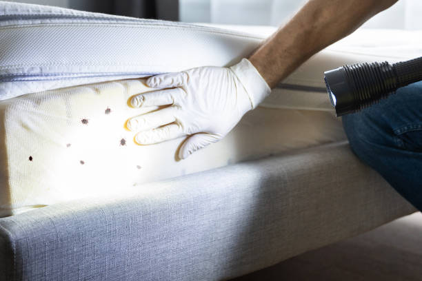 Best Pest Removal Services  in Commerce, OK
