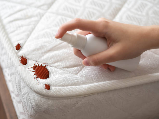 Best Commercial Pest Control Services  in Commerce, OK
