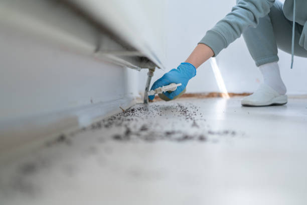 Best Cockroach Control Services  in Commerce, OK