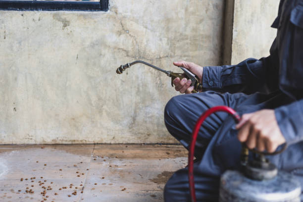 Best Affordable Pest Control Services  in Commerce, OK