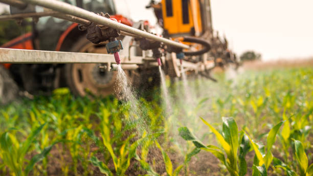 Best Wildlife Control Services  in Commerce, OK